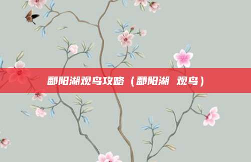 鄱阳湖观鸟攻略（鄱阳湖 观鸟）