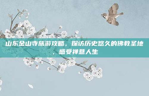 山东金山寺旅游攻略,探访历史悠久的佛教圣地,感受禅意人生