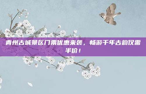 青州古城景区门票优惠来袭,畅游千年古韵仅需半价!