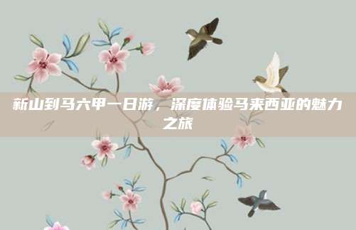 新山到马六甲一日游,深度体验马来西亚的魅力之旅