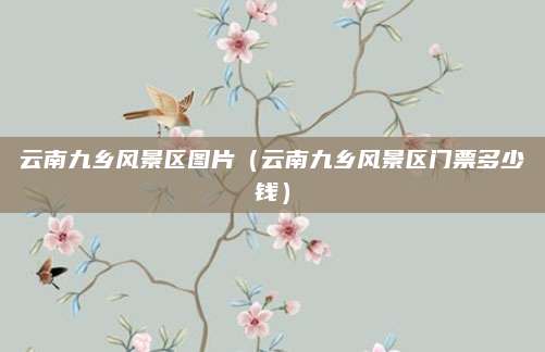 云南九乡风景区图片（云南九乡风景区门票多少钱）