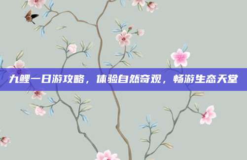 九鲤一日游攻略,体验自然奇观,畅游生态天堂