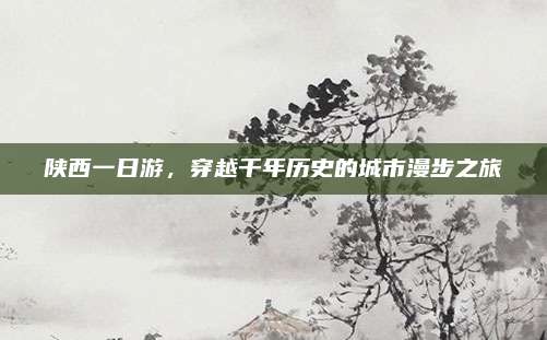 陕西一日游,穿越千年历史的城市漫步之旅
