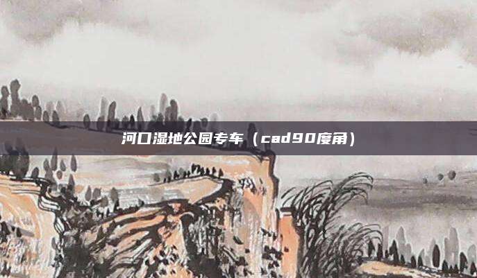 河口湿地公园专车（cad90度角）