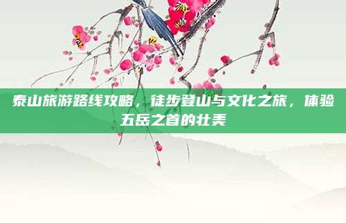 泰山旅游路线攻略,徒步登山与文化之旅,体验五岳之首的壮美