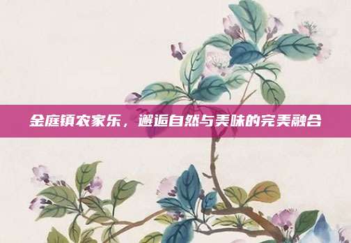 金庭镇农家乐,邂逅自然与美味的完美融合
