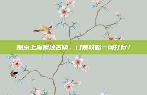 探索上海枫泾古镇,门票攻略一网打尽!
