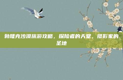 勃隆克沙漠旅游攻略，探险者的天堂，摄影家的圣地