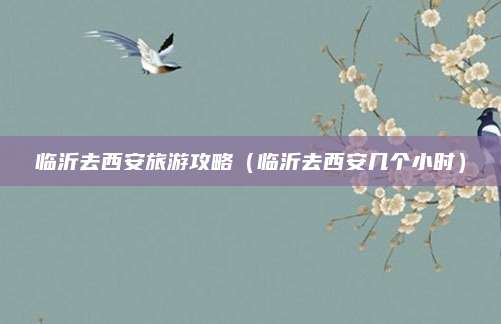 临沂去西安旅游攻略(临沂去西安几个小时)