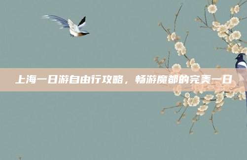 上海一日游自由行攻略，畅游魔都的完美一日