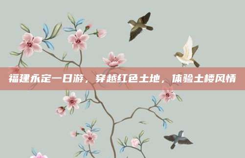 福建永定一日游,穿越红色土地,体验土楼风情
