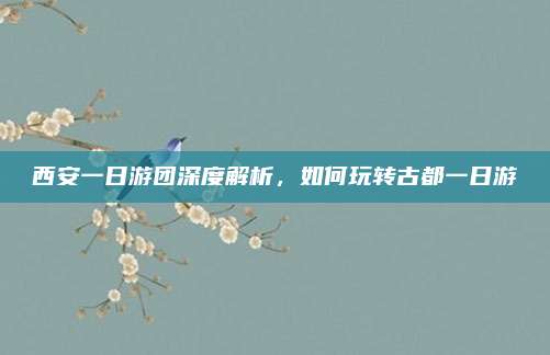 西安一日游团深度解析,如何玩转古都一日游