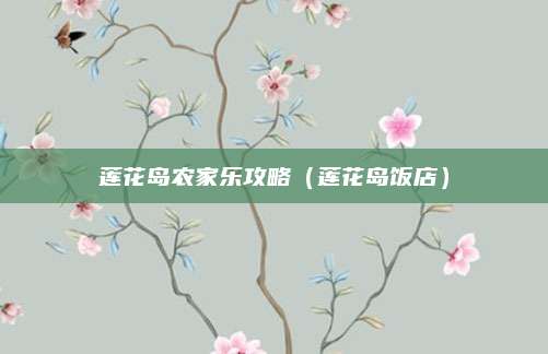 莲花岛农家乐攻略(莲花岛饭店)