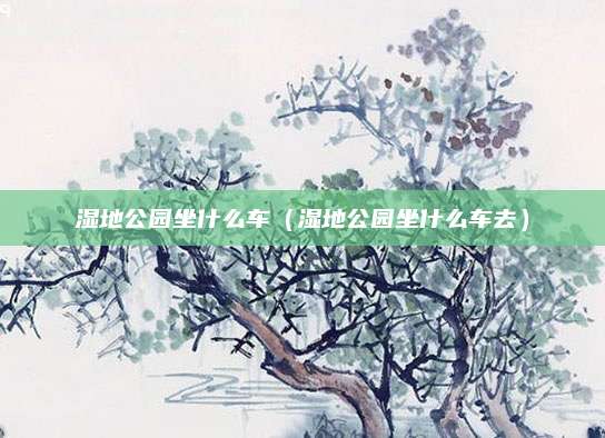 湿地公园坐什么车(湿地公园坐什么车去)