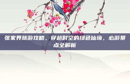 张家界旅游攻略,穿越时空的绿色仙境,必游景点全解析