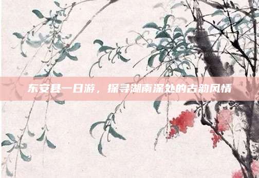 东安县一日游,探寻湖南深处的古韵风情