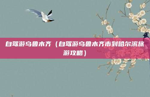 自驾游乌鲁木齐(自驾游乌鲁木齐市到哈尔滨旅游攻略)