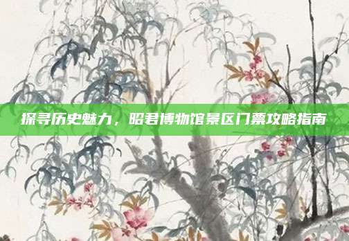 探寻历史魅力,昭君博物馆景区门票攻略指南