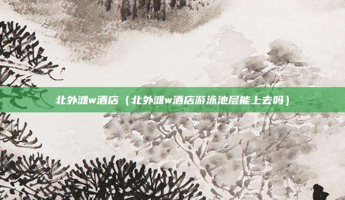 北外滩w酒店（北外滩w酒店游泳池层能上去吗）