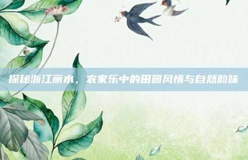 探秘浙江丽水，农家乐中的田园风情与自然韵味
