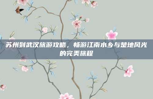 苏州到武汉旅游攻略，畅游江南水乡与楚地风光的完美旅程