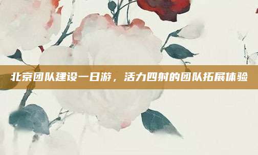 北京团队建设一日游,活力四射的团队拓展体验
