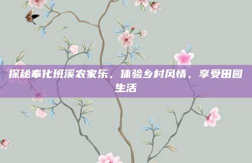 探秘奉化班溪农家乐，体验乡村风情，享受田园生活