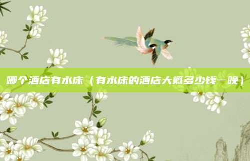 哪个酒店有水床(有水床的酒店大概多少钱一晚)