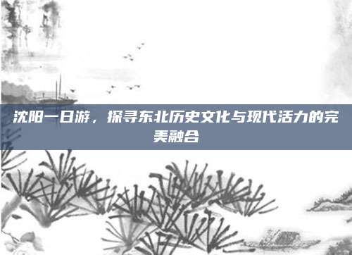 沈阳一日游，探寻东北历史文化与现代活力的完美融合