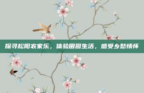 探寻松阳农家乐,体验田园生活,感受乡愁情怀