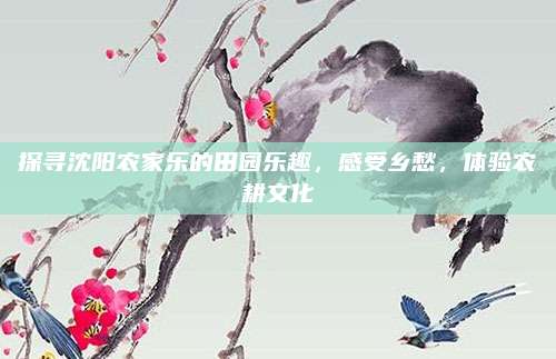 探寻沈阳农家乐的田园乐趣,感受乡愁,体验农耕文化