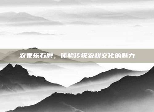 农家乐石磨,体验传统农耕文化的魅力