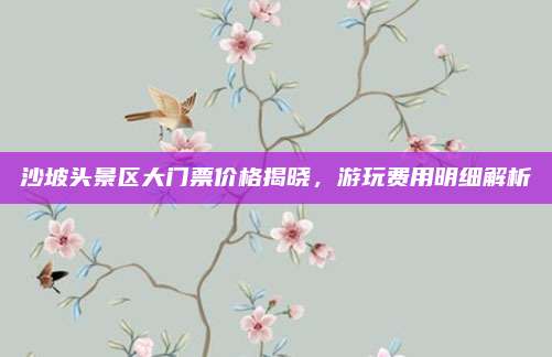 沙坡头景区大门票价格揭晓，游玩费用明细解析
