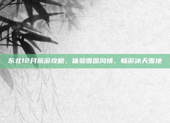 东北12月旅游攻略,体验雪国风情,畅游冰天雪地