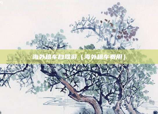 海外租车自驾游（海外租车费用）
