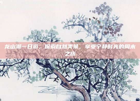 龙山湖一日游,探索自然美景,享受宁静时光的周末之旅