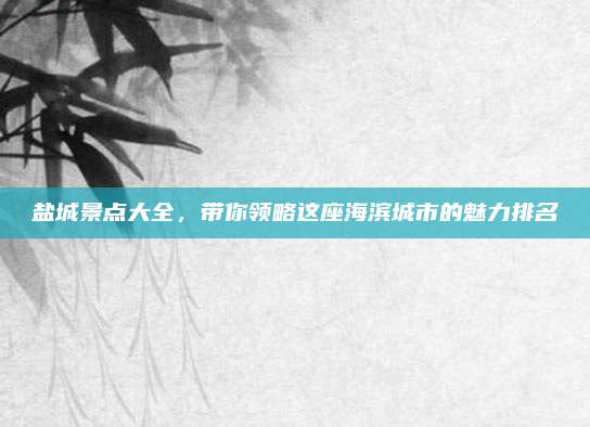 盐城景点大全,带你领略这座海滨城市的魅力排名