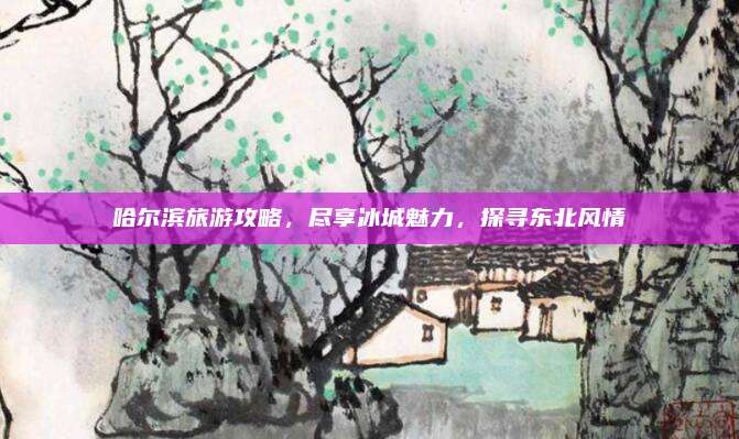 哈尔滨旅游攻略，尽享冰城魅力，探寻东北风情