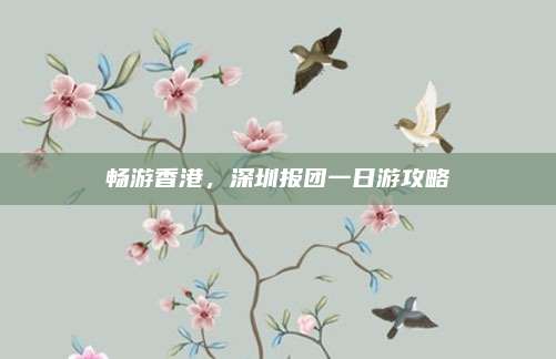 畅游香港,深圳报团一日游攻略