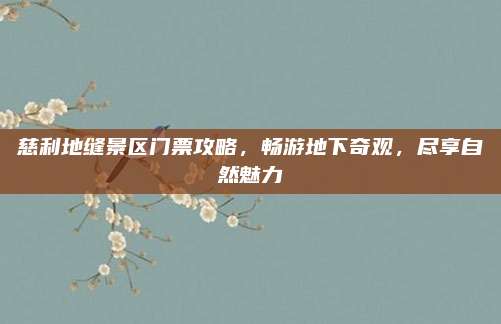 慈利地缝景区门票攻略,畅游地下奇观,尽享自然魅力