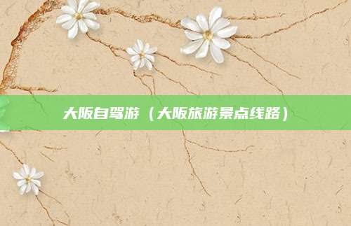 大阪自驾游(大阪旅游景点线路)