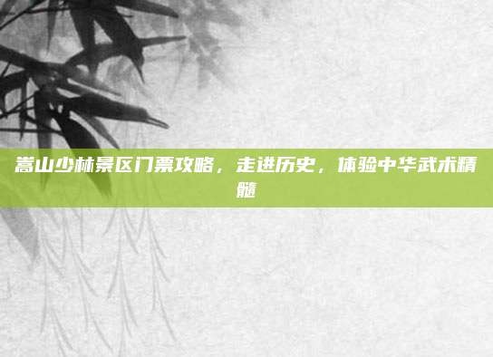 嵩山少林景区门票攻略,走进历史,体验中华武术精髓