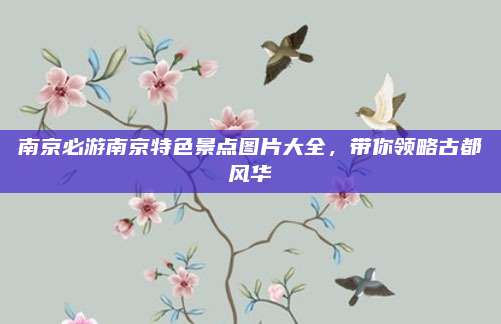 南京必游南京特色景点图片大全,带你领略古都风华