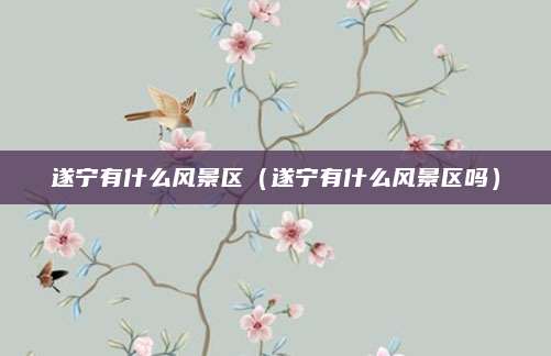 遂宁有什么风景区(遂宁有什么风景区吗)