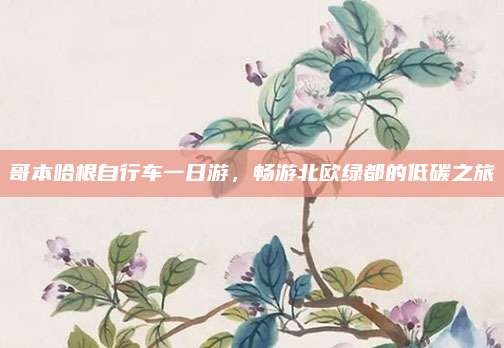 哥本哈根自行车一日游,畅游北欧绿都的低碳之旅