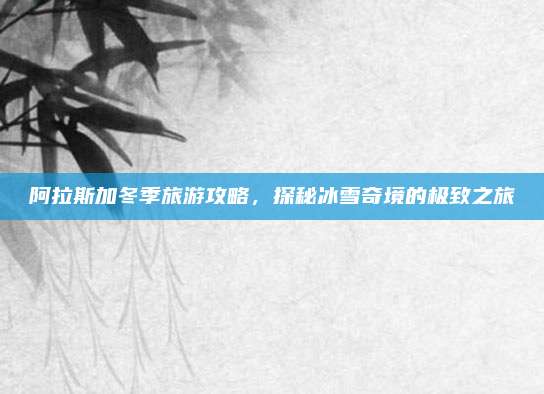 阿拉斯加冬季旅游攻略,探秘冰雪奇境的极致之旅