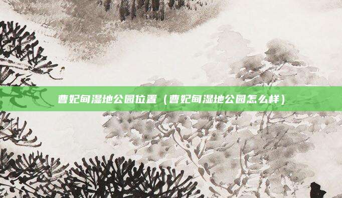 曹妃甸湿地公园位置(曹妃甸湿地公园怎么样)