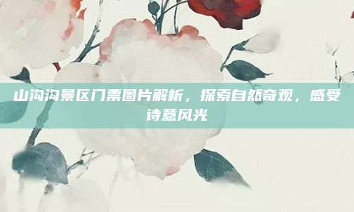 山沟沟景区门票图片解析,探索自然奇观,感受诗意风光