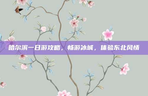 哈尔滨一日游攻略,畅游冰城,体验东北风情