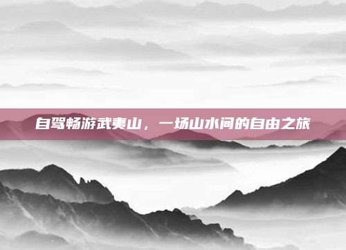 自驾畅游武夷山，一场山水间的自由之旅